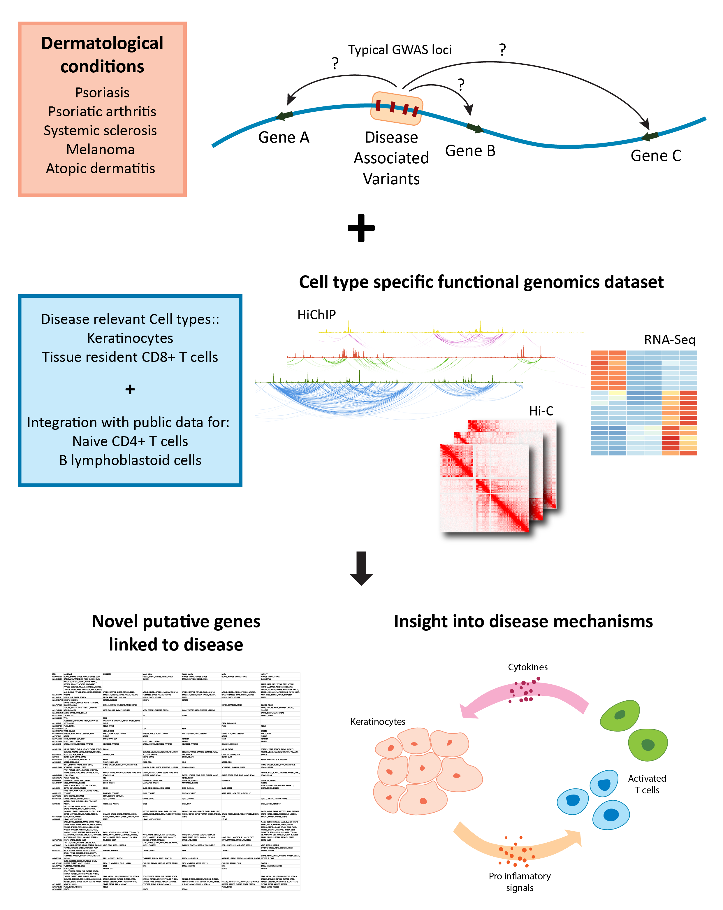 Graphical Abstract